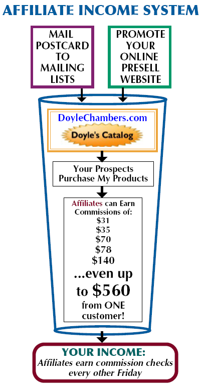 Affiliate Income System Funnel