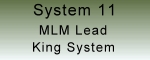 system 11