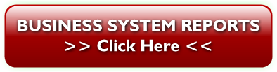 10 business system reports