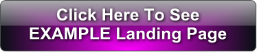 Example Landing Page