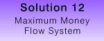 Maximum Money Flow System
